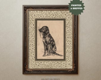 Vintage Dog Sketch Wall Art, Rustic Black Lab Print, Antique Animal Illustration, Farmhouse Country Decor, Mailed Artwork