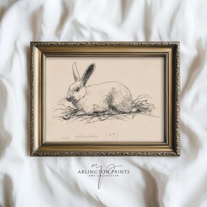 Vintage Bunny Etching Print, Classic Rabbit Sketch Art, Rustic ...