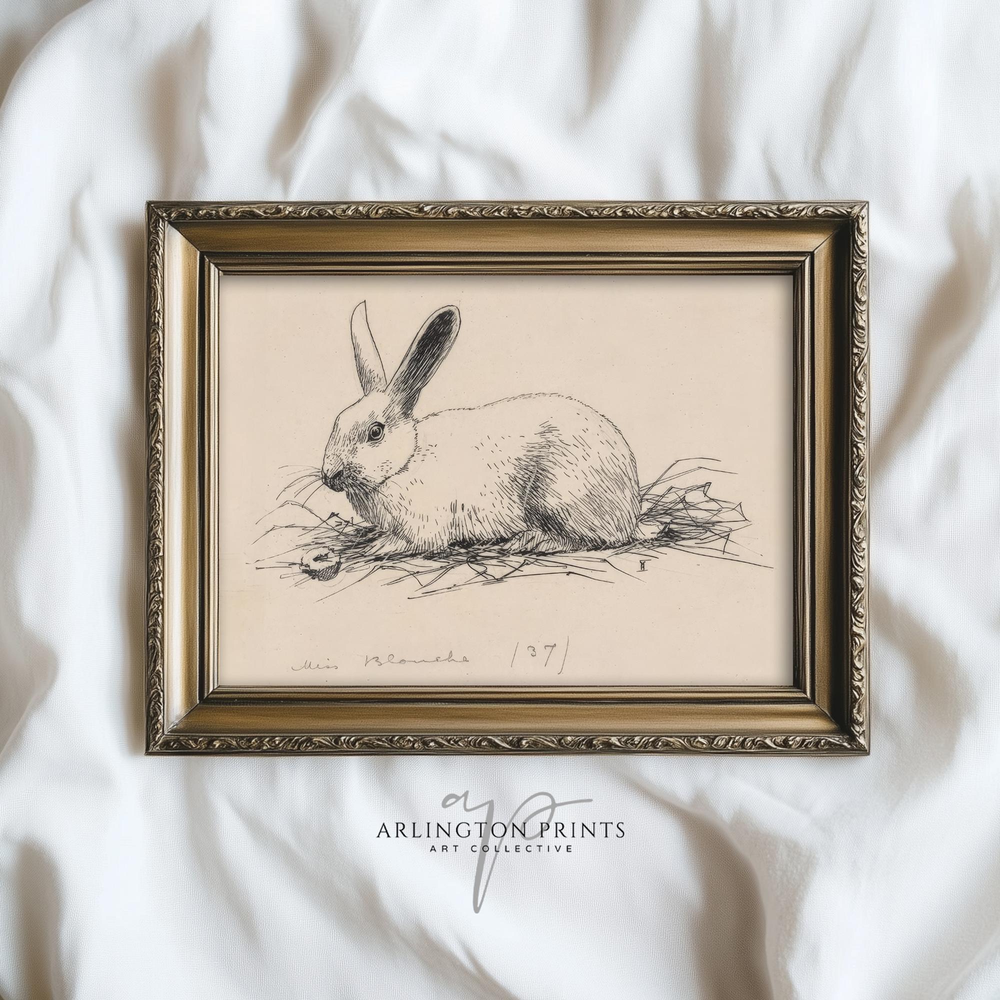 Vintage Bunny Etching Print, Classic Rabbit Sketch Art, Rustic