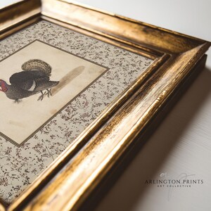 Vintage illustration of a turkey with detailed feathers, surrounded by a neutral floral border, rustic Thanksgiving wall art mailed print for farmhouse and autumn decor.