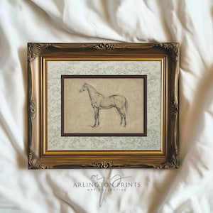 Vintage Horse Printable Wall Art, Rustic Farmhouse Sketch Drawing, Neutral Animal Decor for Office, Western Horse Digital Download | SC-86