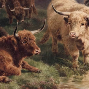 K&ouml;nnte beinhalten: Ein Gem&auml;lde, das eine Gruppe von schottischen Hochlandrindern zeigt, die auf einem Feld in der N&auml;he eines Teichs stehen. Die Rinder sind braun und wei&szlig; mit langem, zotteligem Fell. Das Gem&auml;lde ist in einem realistischen Stil ausgef&uuml;hrt.