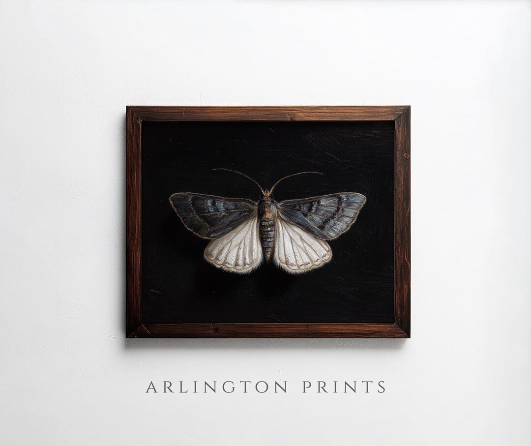 Vintage Moth Printable Art, Moody Insect Illustration on Dark ...
