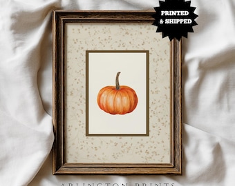 Pumpkin Wall Art Poster, PRINTED Minimalist Fall Home Decor, Autumn Harvest Print, UNFRAMED Rustic Farmhouse Pumpkin Poster DC-51