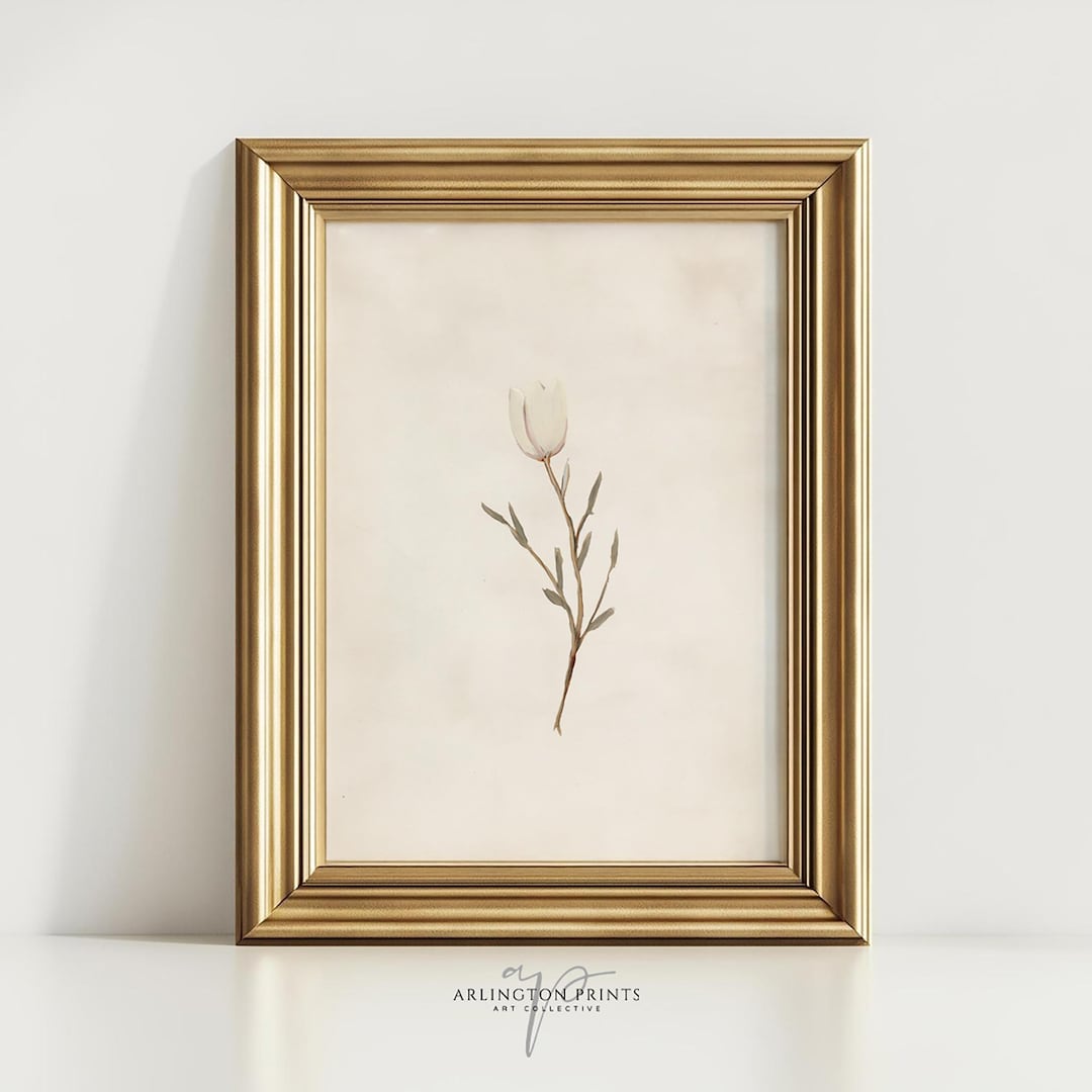 Neutral White Tulip Botanical Art Print – Minimalist Rustic Floral Wall ...
