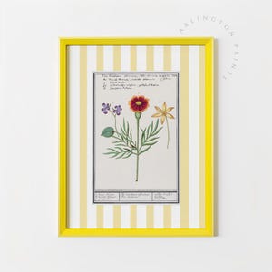 Vintage Yellow Stripe Botanical Print, Grandmillennial Flower Art, Cottagecore Printable Wall Decor, DC-321