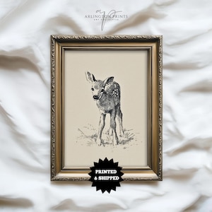 Giclée muurprint Woodland Fawn, babyhert-kunstwerk GEDRUKT EN VERZONDEN, decor landhuis, Giclée Wildlife print 14-5