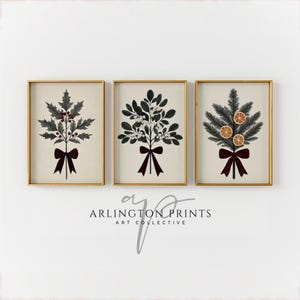 May include: Three framed prints of botanical illustrations of festive greenery. The prints feature a holly sprig with red berries, a sprig of white berries, and a pine sprig with orange slices. Each print has a burgundy ribbon tied in a bow.
