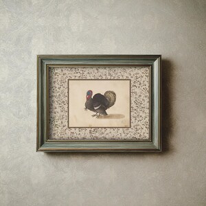 Vintage illustration of a turkey with detailed feathers, surrounded by a neutral floral border, rustic Thanksgiving wall art mailed print for farmhouse and autumn decor.