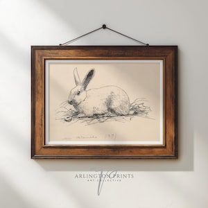 Grabado vintage de conejo, boceto clásico de conejo, decoración rústica de granja, ilustración de animal antiguo / SD-21