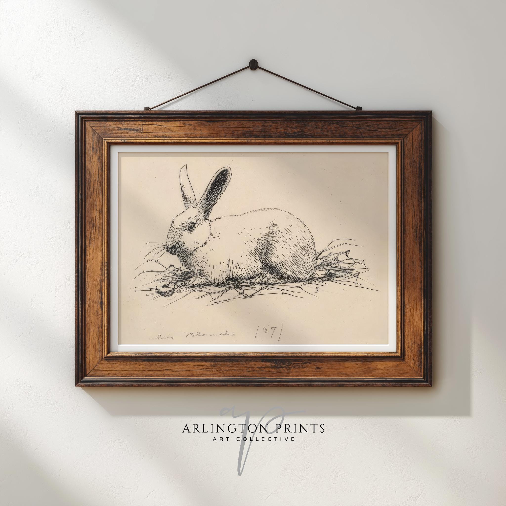Vintage Bunny Etching Print, Classic Rabbit Sketch Art, Rustic