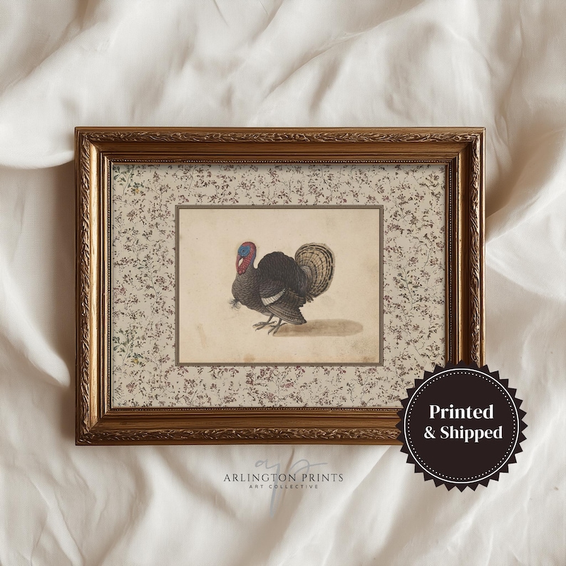 Vintage illustration of a turkey with detailed feathers, surrounded by a neutral floral border, rustic Thanksgiving wall art mailed print for farmhouse and autumn decor.