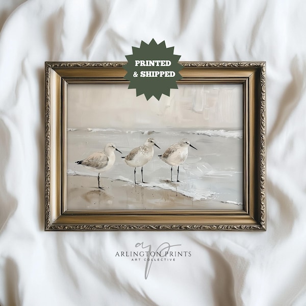 Sandpiper Birds Art Print, Beach Themed Decor, PRINTED AND SHIPPED, Bathroom Wall Art, Coastal Beach House Decor | TA46