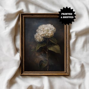 Könnte beinhalten: Gerahmter Druck mit einer detaillierten botanischen Illustration einer weißen Hortensienblüte. Das Kunstwerk hat einen dunklen Hintergrund und ist in einem braunen Holzrahmen eingefasst. Der Text "PRINTED & SHIPPED" wird in der oberen rechten Ecke angezeigt.