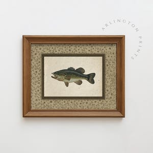 May include: A framed print featuring a detailed illustration of a largemouth bass. The fish is depicted in shades of green, brown, and white, set against a textured background. The frame is a warm brown, and the print is surrounded by a floral patterned border.