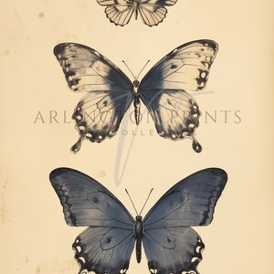 French Country Art, Wall Art Set, Vintage Floral Prints, Spring Home Decor, Indigo Blue, Muted Blue Home Decor, Butterfly Sketch, Country Florals, French Toile, Moody Wall Art Prints, Blue Moon, Antique Oil Painting, Blue Watercolor, Digital Download