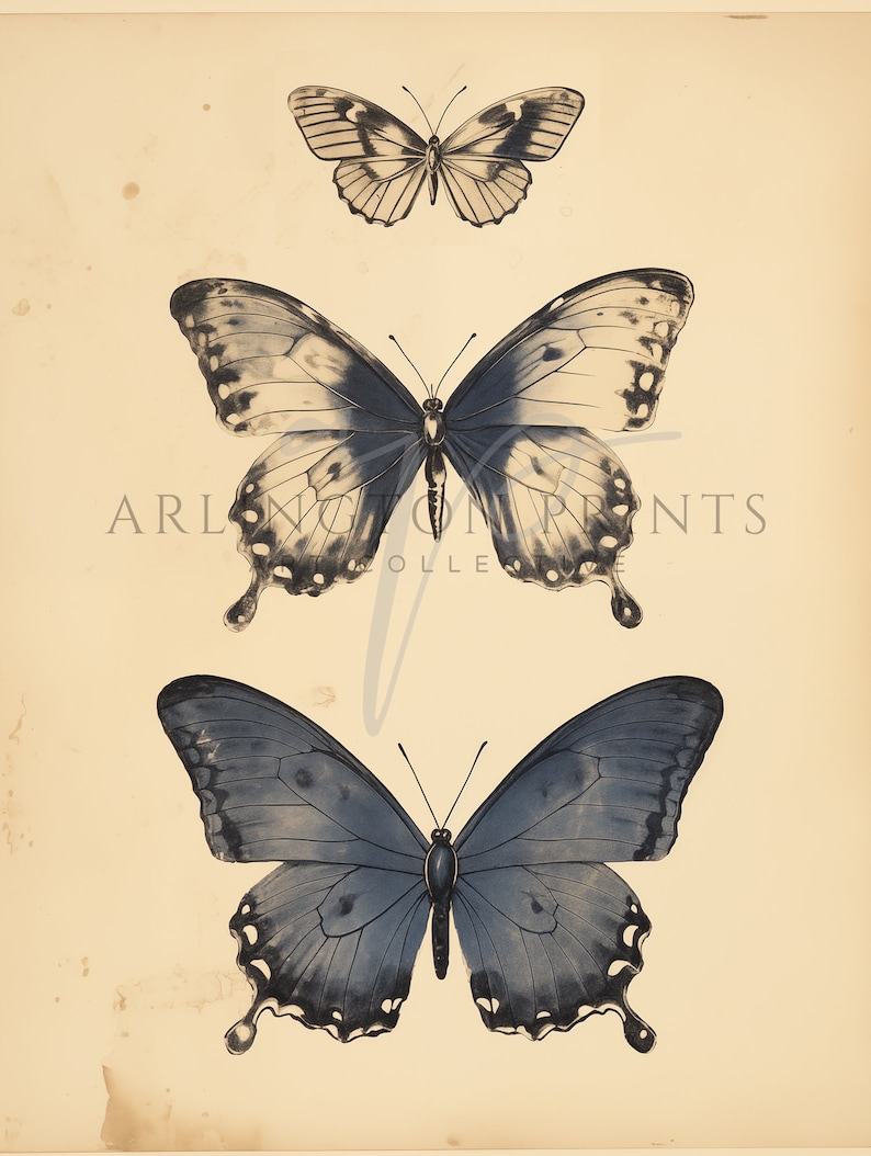 French Country Art, Wall Art Set, Vintage Floral Prints, Spring Home Decor, Indigo Blue, Muted Blue Home Decor, Butterfly Sketch, Country Florals, French Toile, Moody Wall Art Prints, Blue Moon, Antique Oil Painting, Blue Watercolor, Digital Download