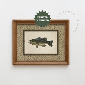 Decorazione murale vintage con pesce persico, decorazione rustica per baita, regalo per la festa del papà spedito per posta, stampa di pesca in stile fattoria, senza cornice SK-7052