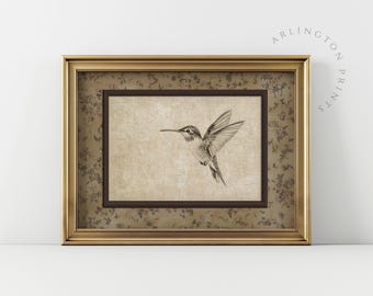 Väggkonst med vintage kolibri, neutral lantlig, bondgårdsliknande jordnära nedladdningsbar, utskrivbar rustik natur, fågelkammartryck | AW-15