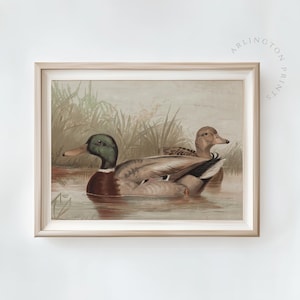 Antique Mallard Duck Art Print, Rustic Farmhouse Duck Decor, Printable Vintage Animal Oil Painting Art, Vintage Nursery Duck Print | CA02