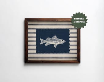 May include: A framed print featuring a detailed illustration of a fish on a navy blue background. The fish is depicted in white, set against a striped fabric and a dark brown wooden frame. The print has a vintage aesthetic.