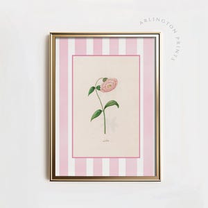 Vintage Pink Striped Floral Art, Printable Grandmillenial Botanical Prints, Nancy Meyers Inspired Art, Delicate Feminine Flower Art | TC13