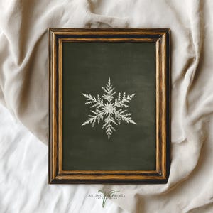 May include: A framed print featuring a detailed white snowflake design on a dark green background. The frame has a dark brown finish with gold accents. The print is from Arlington Prints.