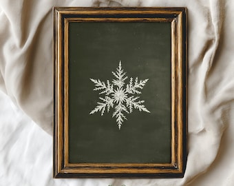 Könnte beinhalten: Gerahmter Druck mit einem detaillierten weißen Schneeflocken-Design auf dunkelgrünem Hintergrund. Der Rahmen hat eine dunkelbraune Oberfläche mit goldenen Akzenten. Der Druck stammt von Arlington Prints.