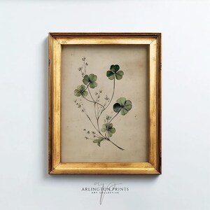 May include: A framed botanical print showing green shamrocks and wildflowers. The artwork is set against a beige background and encased in a gold-coloured wooden frame. The text "ARLINGTON PRINTS ART COLLECTIVE" is at the bottom.