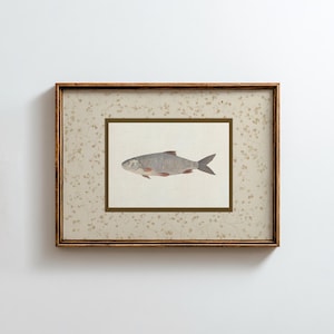 Vintage Fish Wall Art, Rustic Cabin Decor, Farmhouse Fishing Print, Antique Lake House Artwork, Digital Download, Bass, DC-322