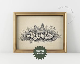Impresión de gallina con pollitos, arte de pared de animales de granja, ilustración de pollo vintage, decoración de cocina campestre, arte rústico para guardería sin marco.