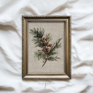 Può includere: Una stampa botanica incorniciata con un rametto di aghi di pino verdi e bacche marroni. L'opera d'arte è ambientata su uno sfondo di lino beige e racchiusa in una cornice dorata ornata. La stampa è firmata "ARLINGTON PRINTS ART COLLECTIVE".