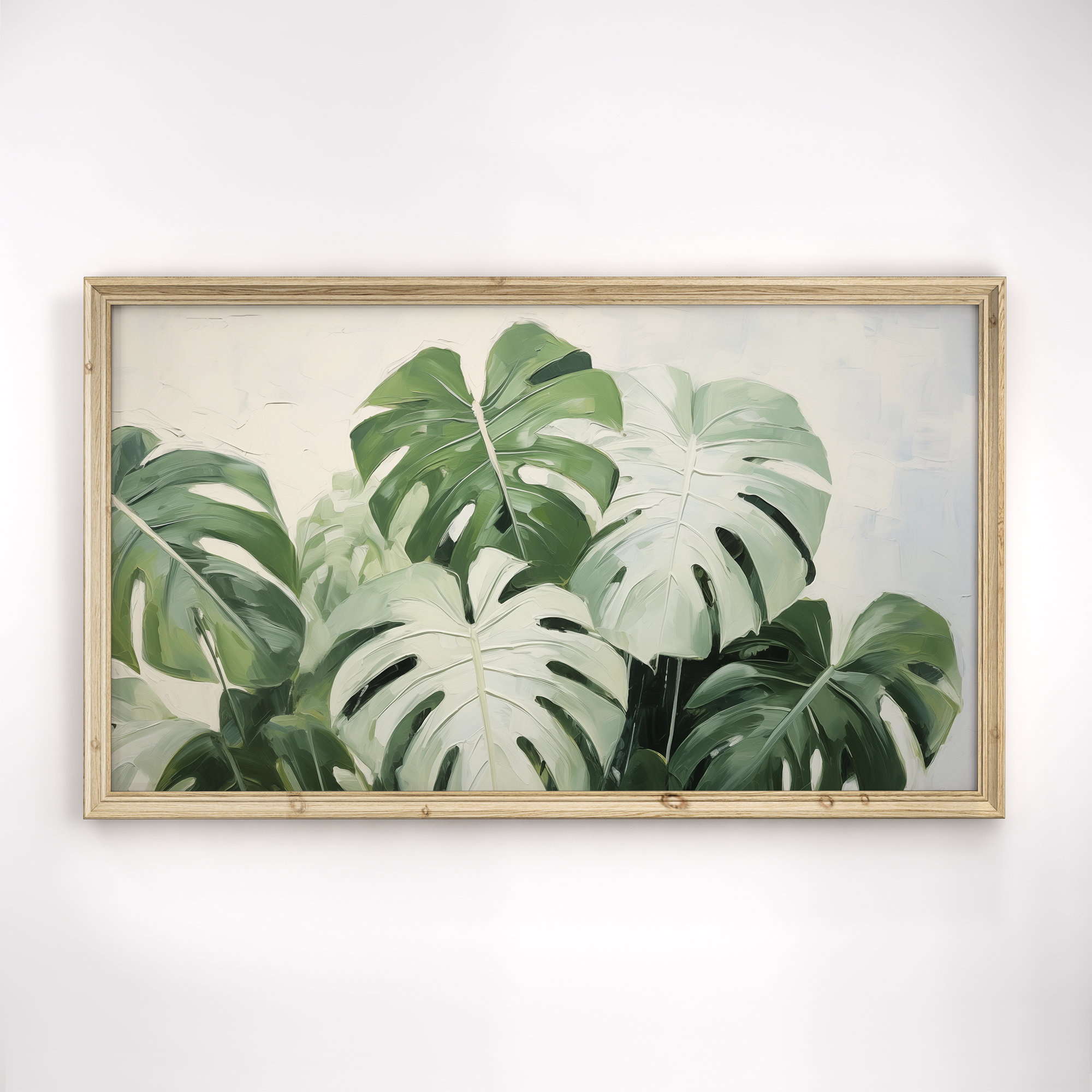 philodendron for sale Philodendron squamiferium variegated main image 1