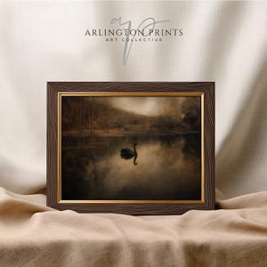 May include: A framed print of a black swan swimming in a still lake surrounded by trees. The image has a vintage, sepia tone.