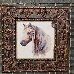 Native horse