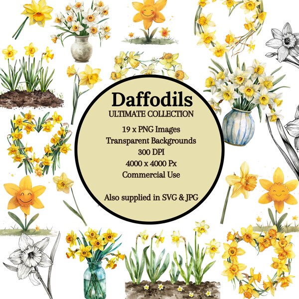 19x Daffodil Clipart Collection, Daffodil Watercolour Sketch, Birthmonth flower clipart png, flowered clipart set bundle, Daffodil svg