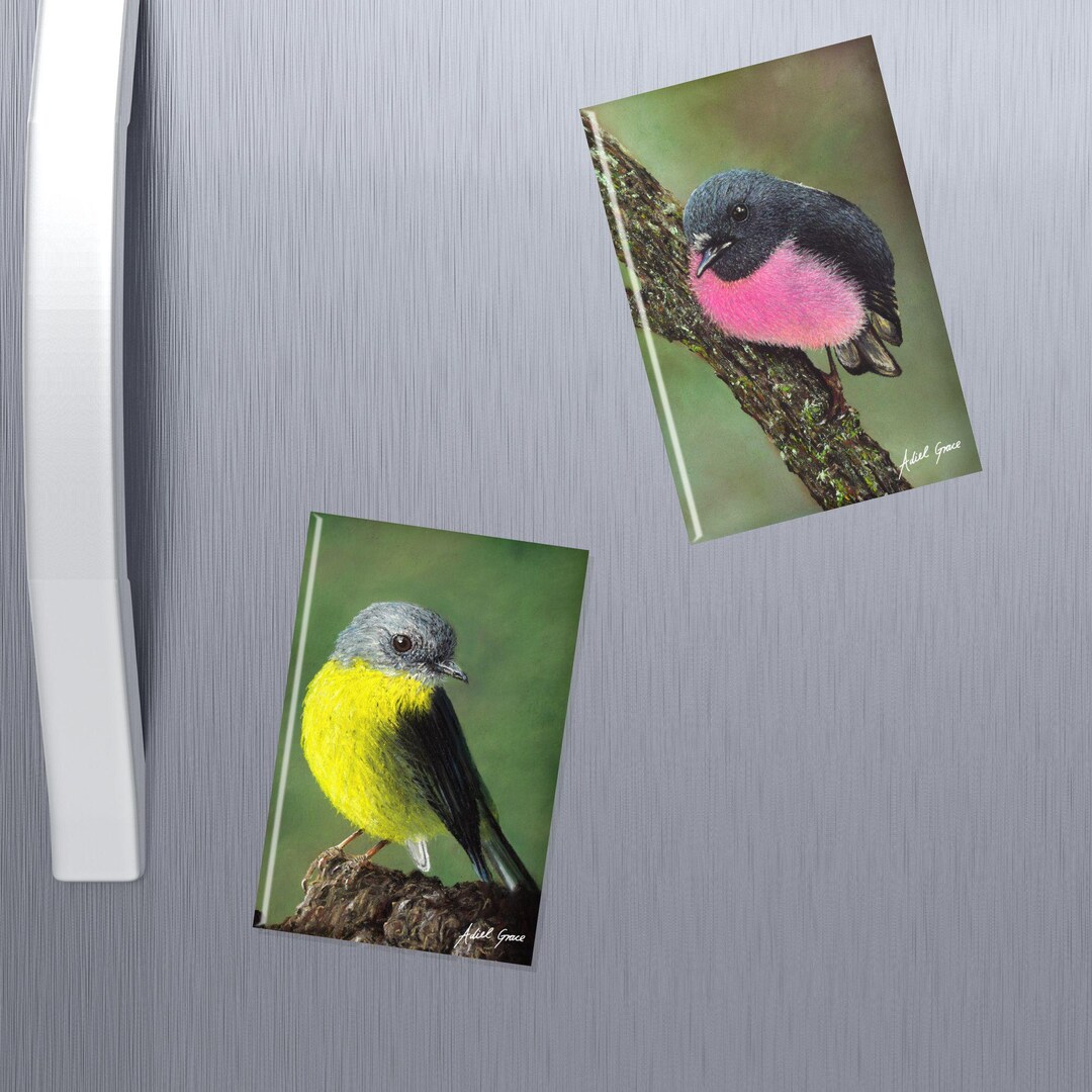 Robin Magnet Australian Pink Robin Magnet: Wildlife Art, Kitchen Decor - Etsy