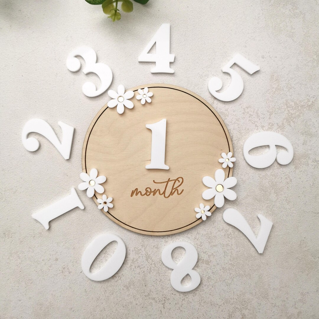 Baby Monthly Milestone Card, Newborn Girl Name Announcement Sign, Daisy ...