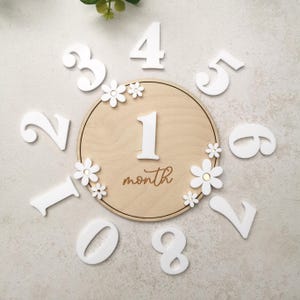 Tarjeta de madera con margaritas para hitos, disco mensual con flores para niña, accesorio fotográfico para recién nacida, crecimiento infantil, bebé con margaritas, primer año de niña