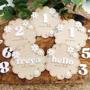 Disco Milestone Daisy, biglietto Milestone floreale, biglietti Milestone Boho Baby, targa floreale, accessorio per foto del primo anno del bambino, segnapunti mensile Milestone