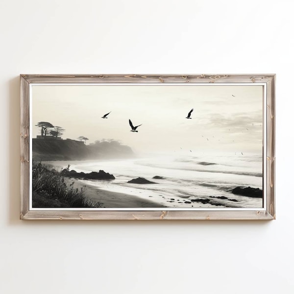 Vintage black and white coastal with birds art| digital download art