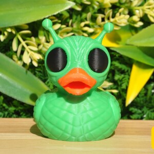 Può includere: Un'anatra di gomma verde con grandi occhi neri, un becco arancione e protuberanze simili ad antenne. L'anatra è ambientata su uno sfondo di fogliame verde e una superficie di legno. Un quadrato giallo con un logo di anatra si trova nell'angolo in basso a destra.