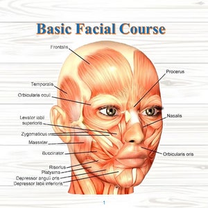 Face massage tutorial. Natural face treatment. Face guide. Easy beauty course for the face. Tutorial for the face. Facial care. Biomassage.