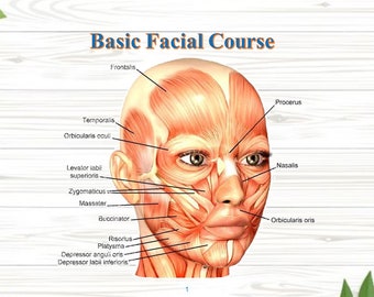 Face massage tutorial. Natural face treatment. Face guide. Easy beauty course for the face. Tutorial for the face. Facial care. Biomassage.