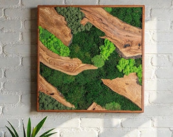 May include: A square wall art piece featuring a wooden frame containing a composition of natural wood slices and preserved green moss in varying shades of light and dark green, arranged in an abstract pattern across the entire surface area.