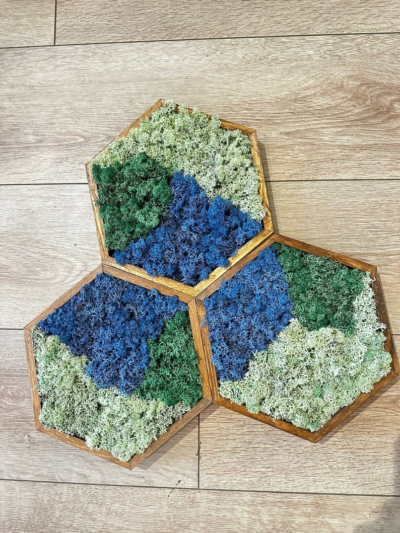 Moss Wall Art Moss Wall Decor Preserved Moss Art Framed Moss Wall Sets