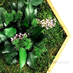 Hexagon Moss Green Wall Art, Living Moss Wall Art, Wall hanging, Preserved Moss Art, Green Moss Art, Moss Wall Decor, Kitchen Room Decor