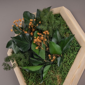 Hexagon Preserved Moss Wall Art, Handmade Wooden Frame