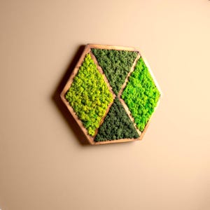 Hexagon Moss Wall Art, Green Moss Wall Decor, Live moss wall art, Anniversary gift, Eco-Friendly, Preserved Moss Wall Decor, Gift for Her