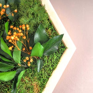 Hexagon Wood and Moss Wall Art, Honeycomb Moss Wall Decor, Preserved Moss Art Framed, Wooden Moss Wall Sets, Moss Decoration, New Home Gifts